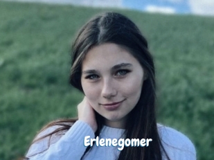 Erlenegomer