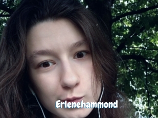 Erlenehammond