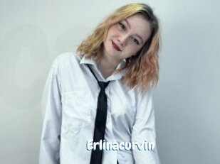 Erlinacurvin