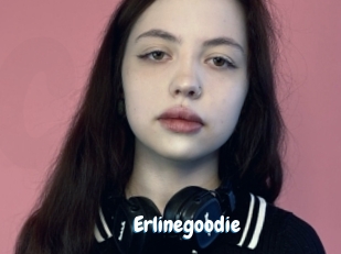 Erlinegoodie