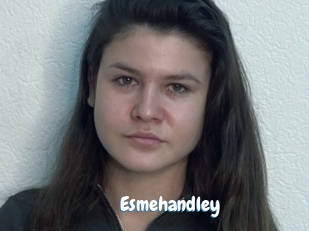 Esmehandley