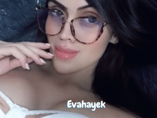 Evahayek