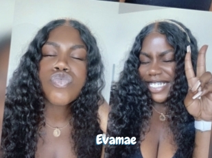 Evamae
