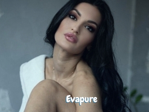 evapure Coquine Avenue