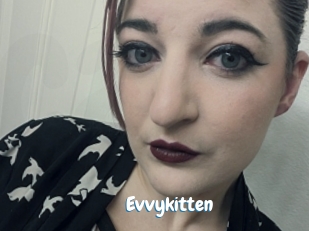 Evvykitten