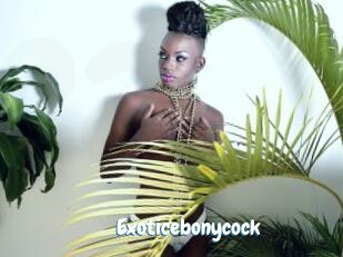 Exoticebonycock