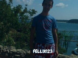 FELL1X123