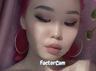 FactorCam