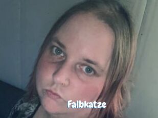 Falbkatze