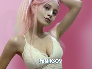 FeNiKs09