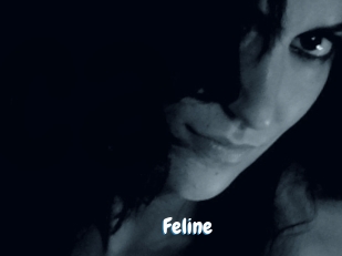 Feline