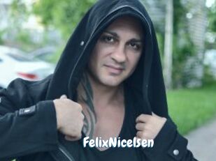 FelixNicelsen