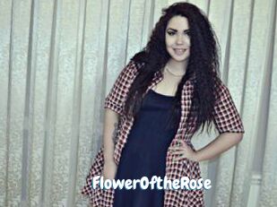 FlowerOftheRose