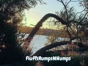 FluffsRumpsNHumps