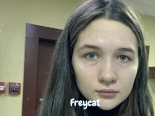 Freycat