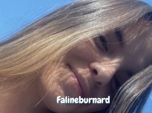 Falineburnard