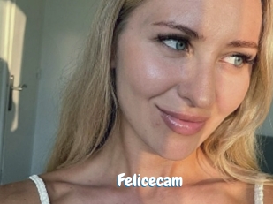 Felicecam