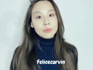 Felicecarvin