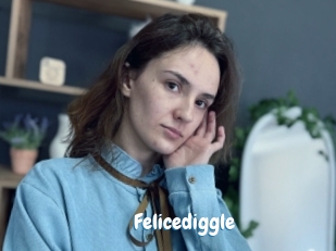 Felicediggle