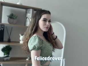 Felicedrover