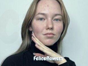 Feliceflowers