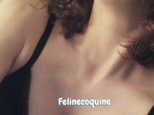 Felinecoquine