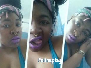 Felineplay