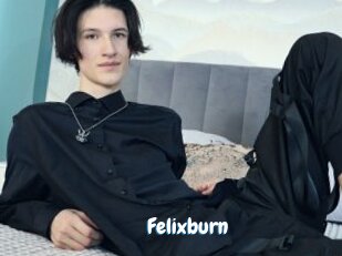 Felixburn