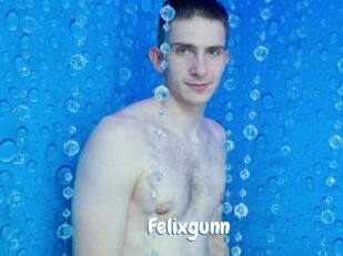 Felixgunn