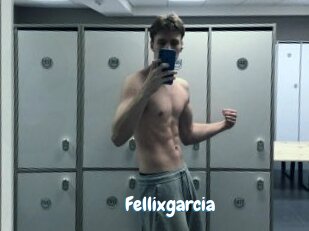 Fellixgarcia
