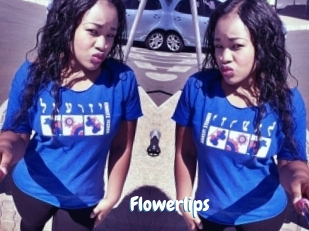 flowerlips Coquine Avenue