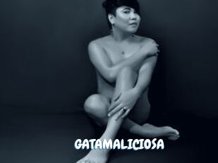 GATAMALICIOSA