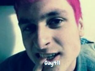 Gay411