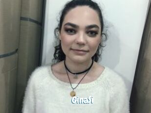 GinaSi