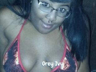 Grey_Ivy