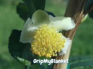 GripMyBlanket