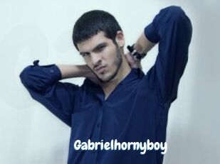 Gabrielhornyboy