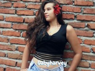 Gabyharvey