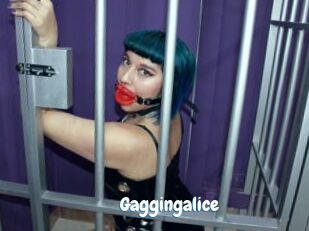 Gaggingalice