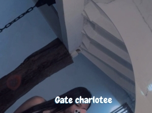 Gate_charlotee