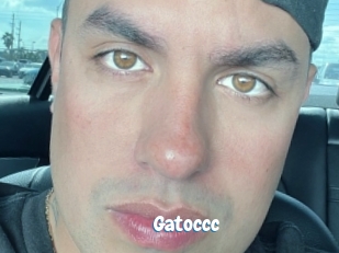 Gatoccc