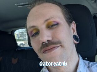 Gatorcatnb
