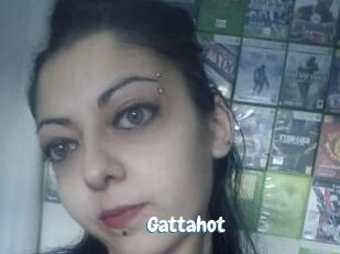 Gattahot