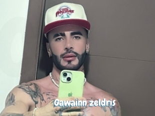 Gawainn_zeldris