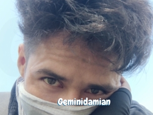 Geminidamian
