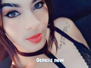 genesis_new Coquine Avenue