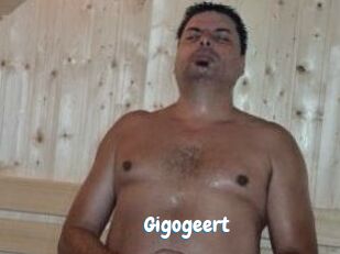 Gigogeert