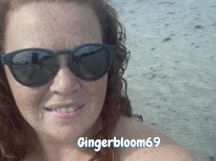 Gingerbloom69