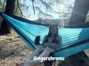 Gingerchronic