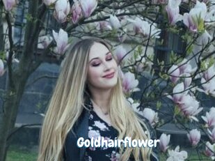 Goldhairflower